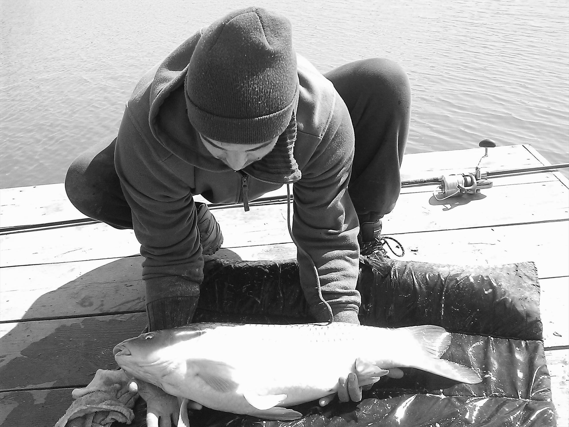 Fa-i poza daca poti... - wp201303230421.jpg